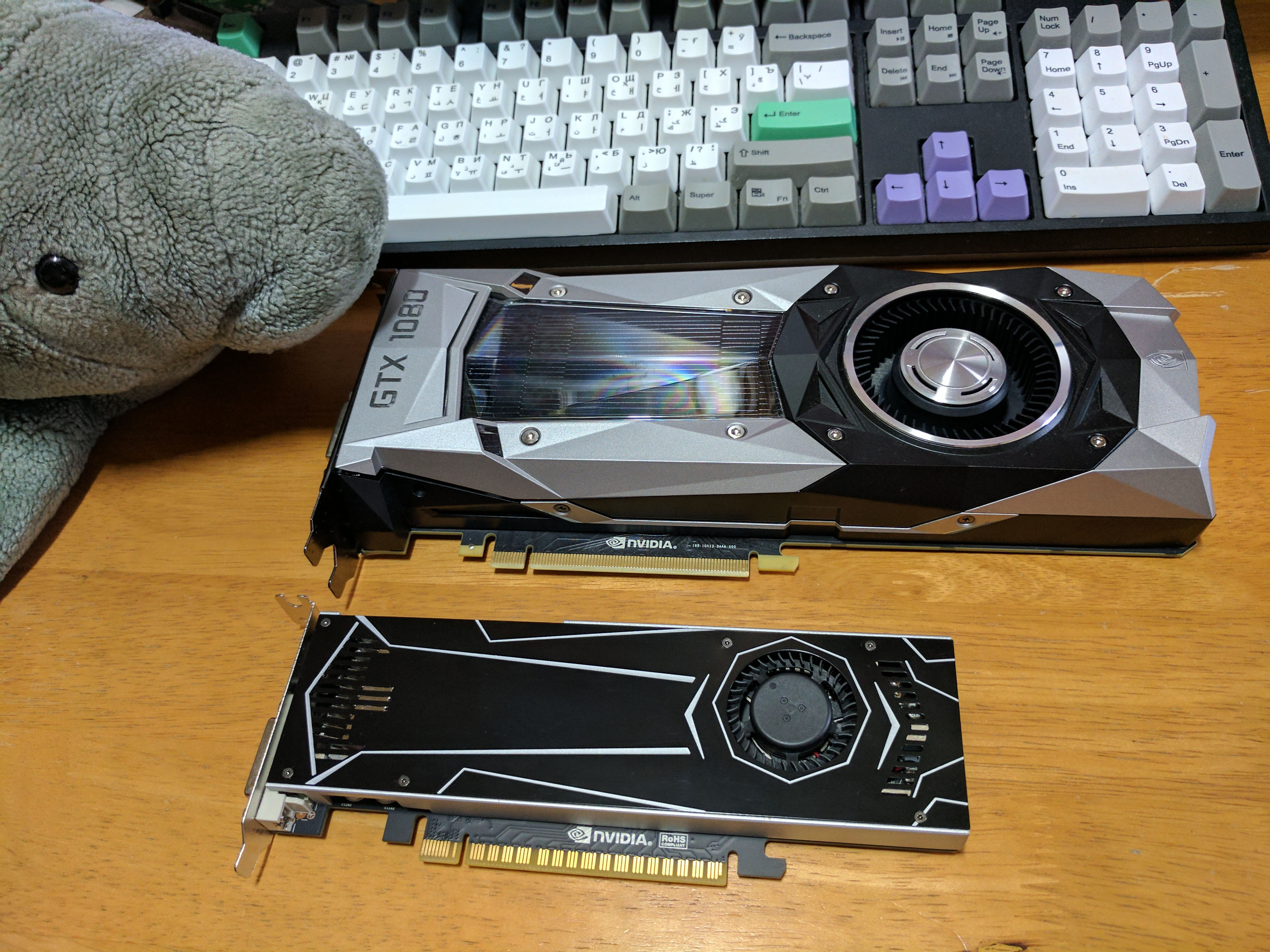 Low profile single sale slot graphics card